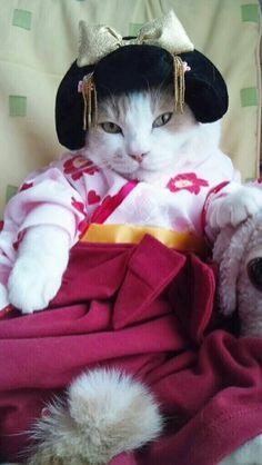 動物画像で時代劇を作るトピ