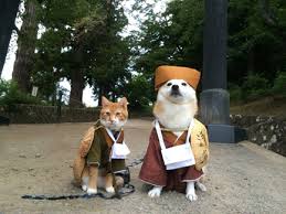 動物画像で時代劇を作るトピ