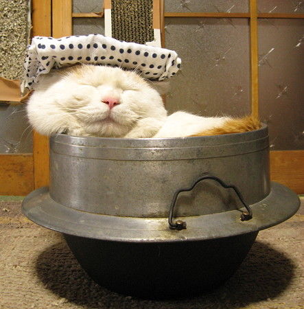 動物画像で時代劇を作るトピ