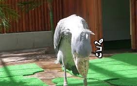 動物画像で時代劇を作るトピ