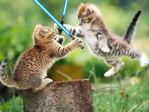 動物画像で時代劇を作るトピ