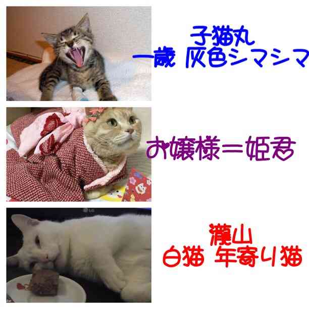 動物画像で時代劇を作るトピ