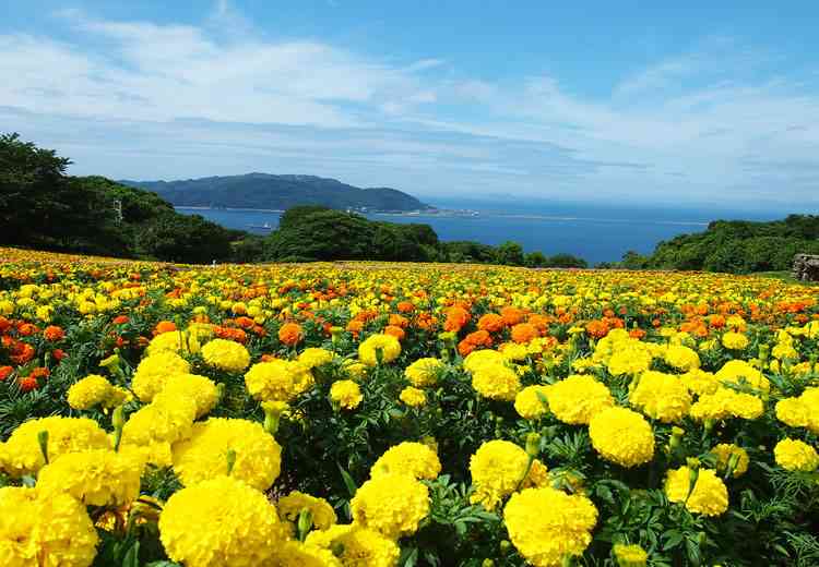 福岡旅行のオススメ教えて下さい！