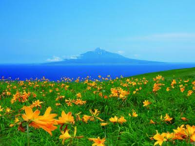 画像で北海道を感じるトピ