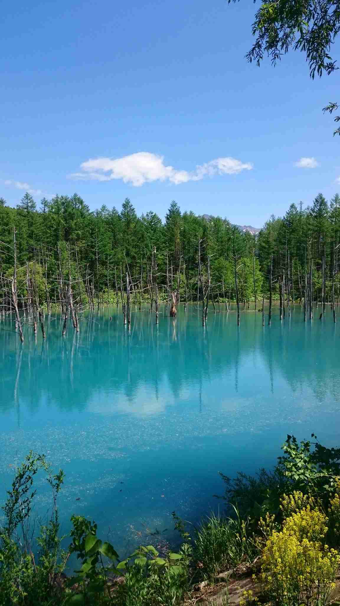 画像で北海道を感じるトピ