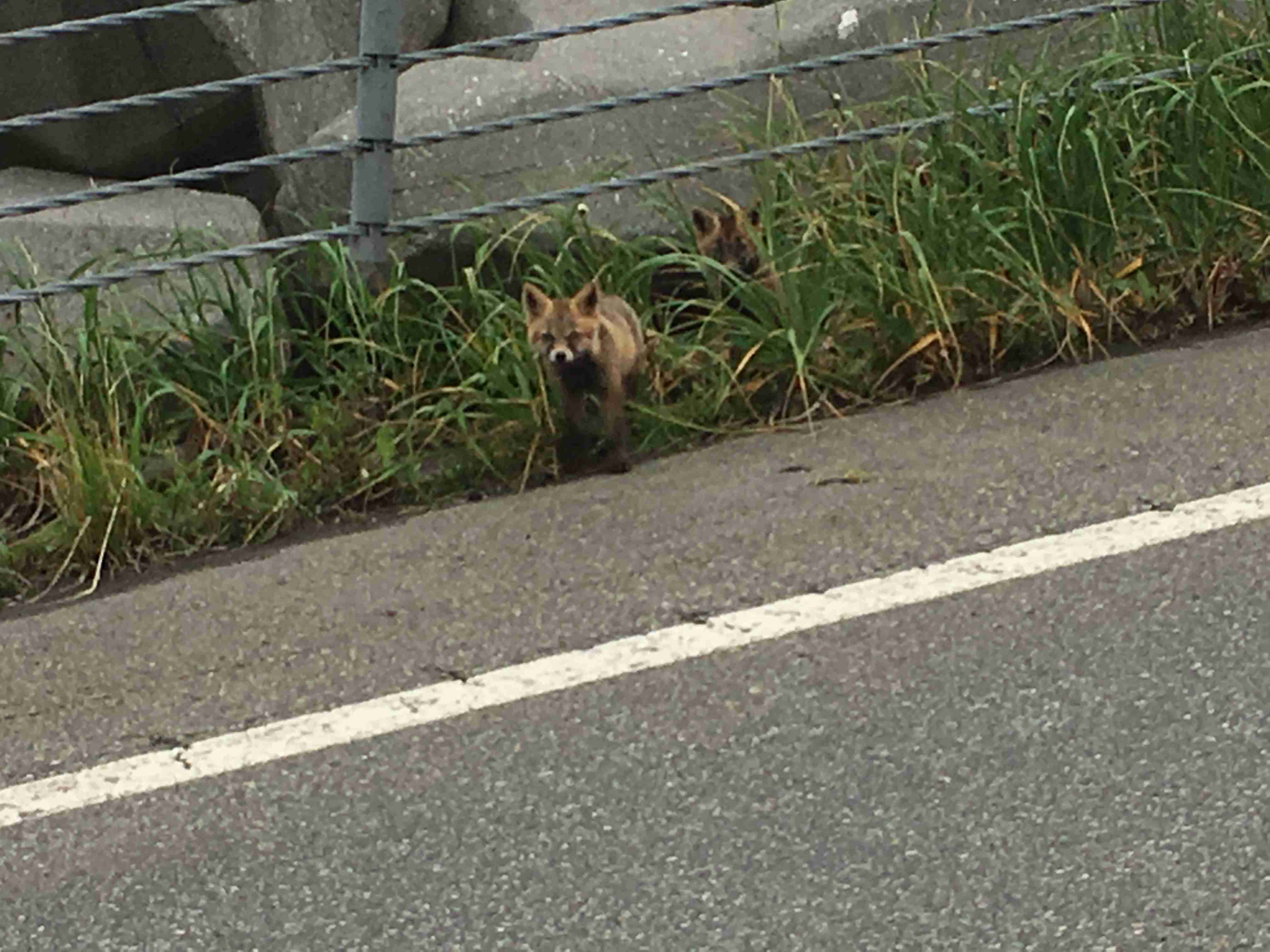 画像で北海道を感じるトピ