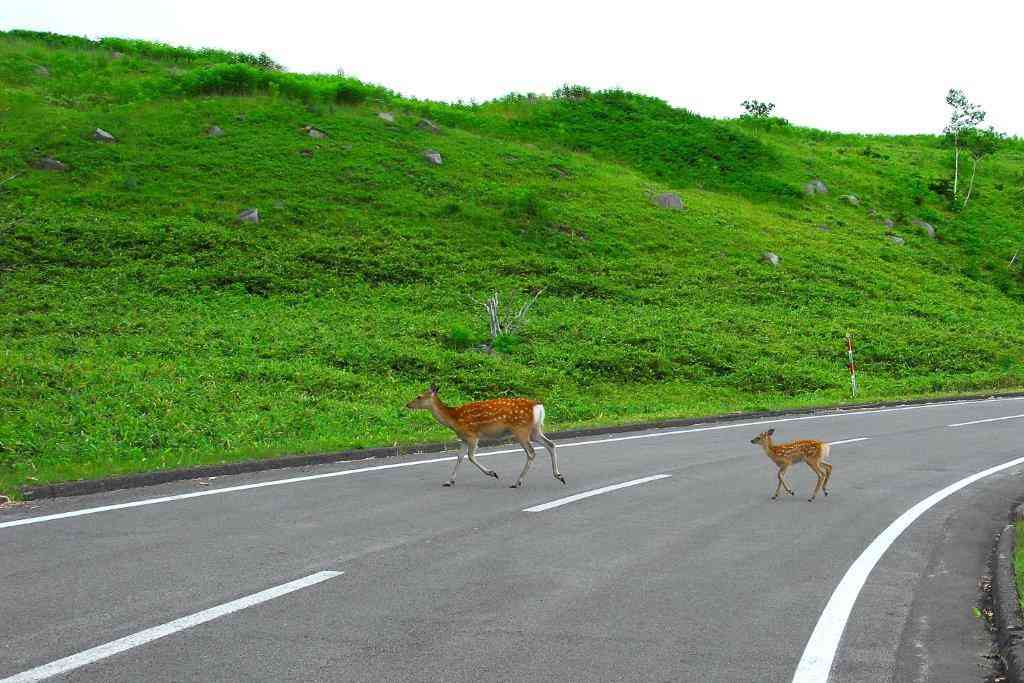 画像で北海道を感じるトピ
