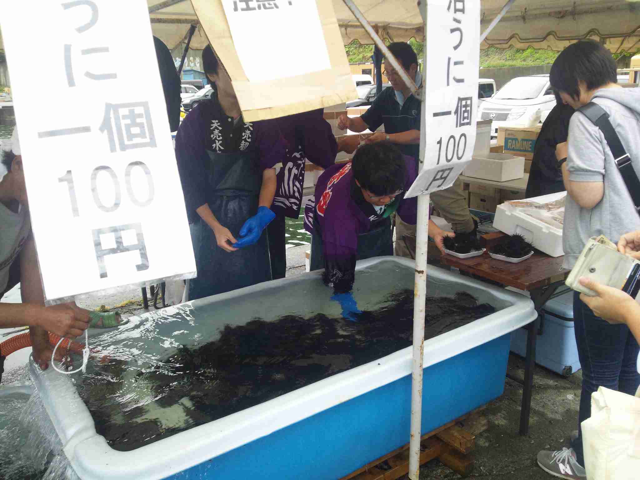画像で北海道を感じるトピ
