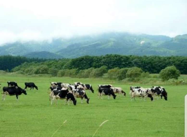 画像で北海道を感じるトピ