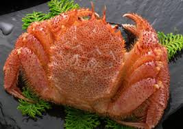 画像で北海道を感じるトピ