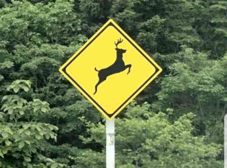 画像で北海道を感じるトピ