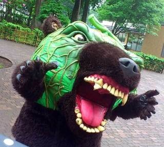 画像で北海道を感じるトピ