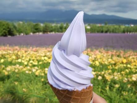 画像で北海道を感じるトピ