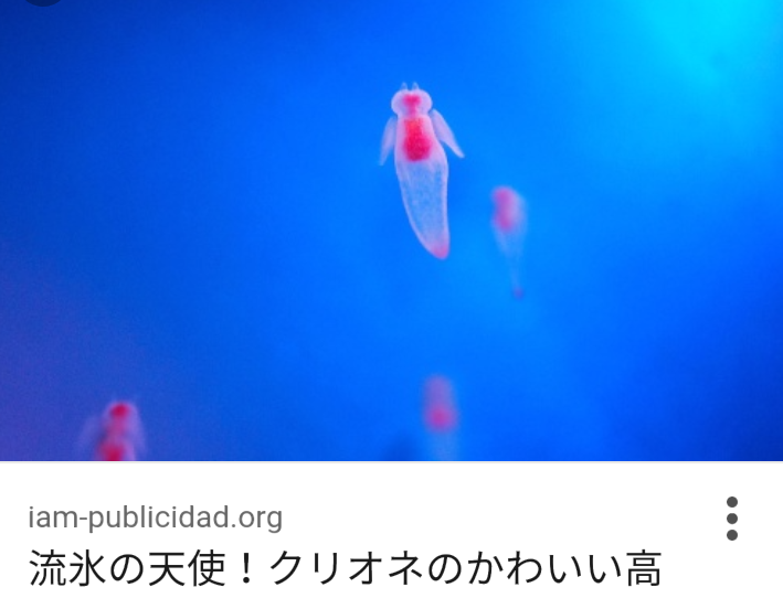 画像で北海道を感じるトピ