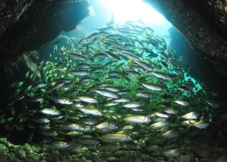 鳥取県のおすすめ