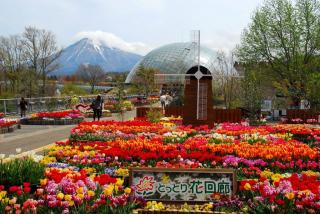 鳥取県のおすすめ