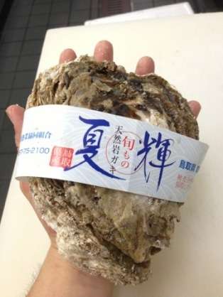 鳥取県のおすすめ