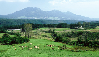 岡山県のおすすめ