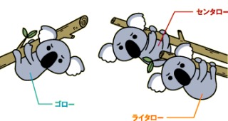 コアラが集まるトピ