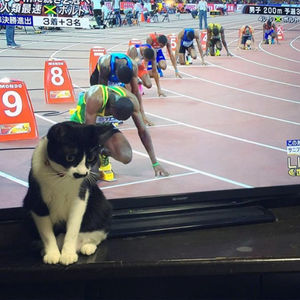 誤解を与える画像を見て誤解するトピ