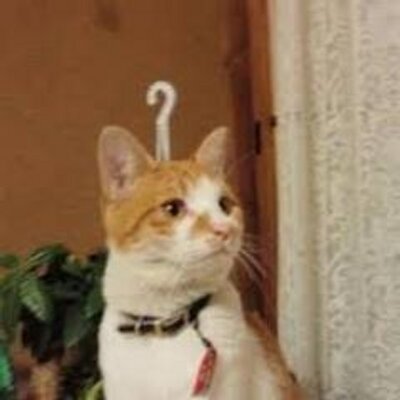 誤解を与える画像を見て誤解するトピ