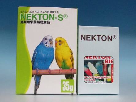 オカメインコ大好きな方、大集合！