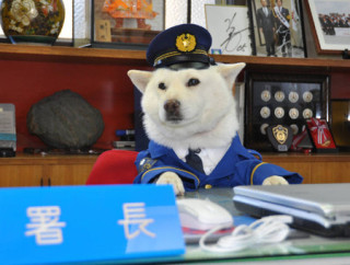 【画像】有名人の一日署長