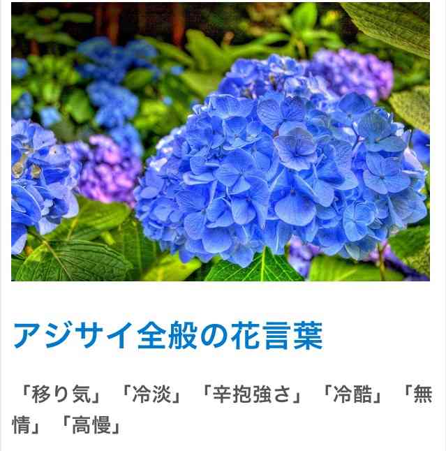 自分の誕生花を貼るトピ