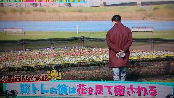 KinKi Kidsを語ろう☆part4