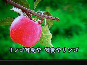 赤いリンゴ消える? 黄色品種に植え替え…農家の事情