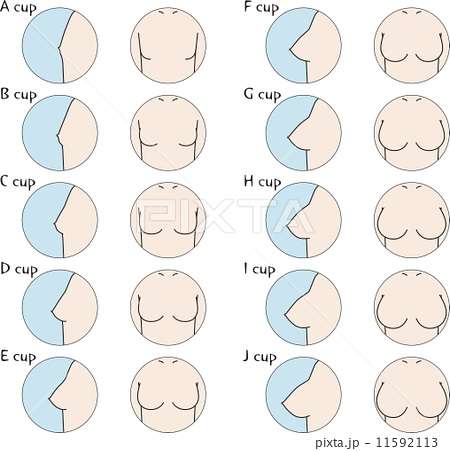 貧乳だけどコンプレックスじゃない人！