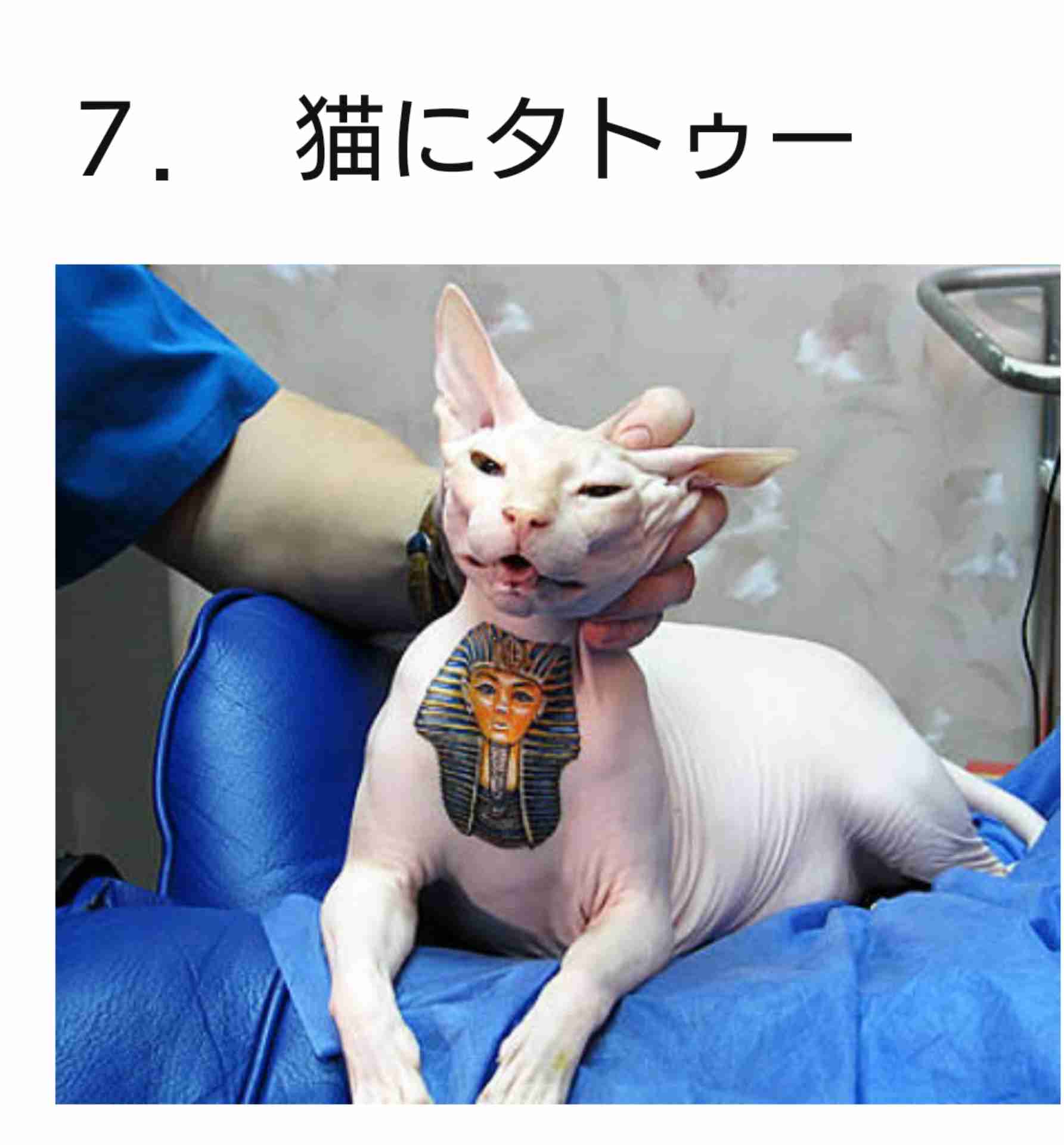 体全体のタトゥーでもキレイに隠せるサービス