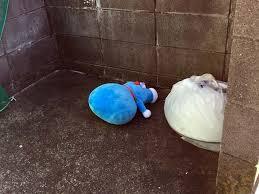ぬいぐるみの処分