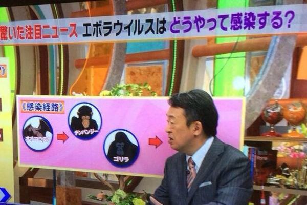 寝る前にどうかもう一笑いしたい