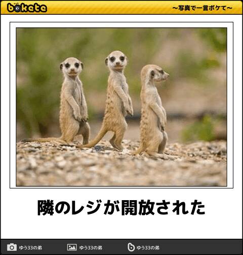 寝る前にどうかもう一笑いしたい