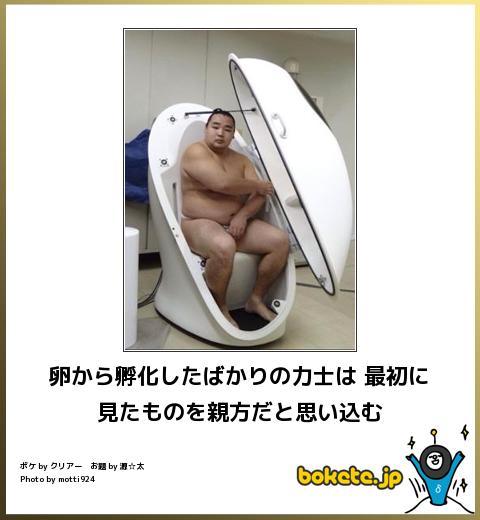 寝る前にどうかもう一笑いしたい