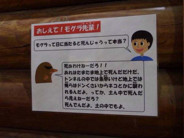 寝る前にどうかもう一笑いしたい