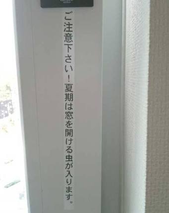 寝る前にどうかもう一笑いしたい