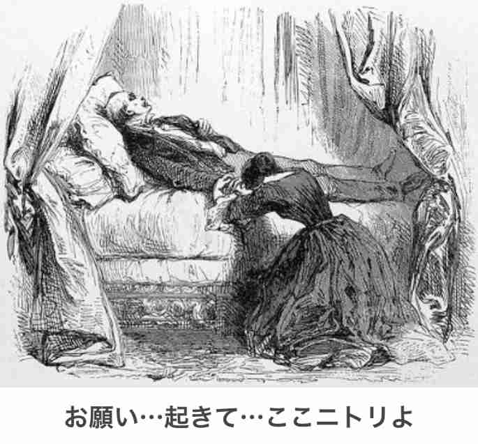 寝る前にどうかもう一笑いしたい