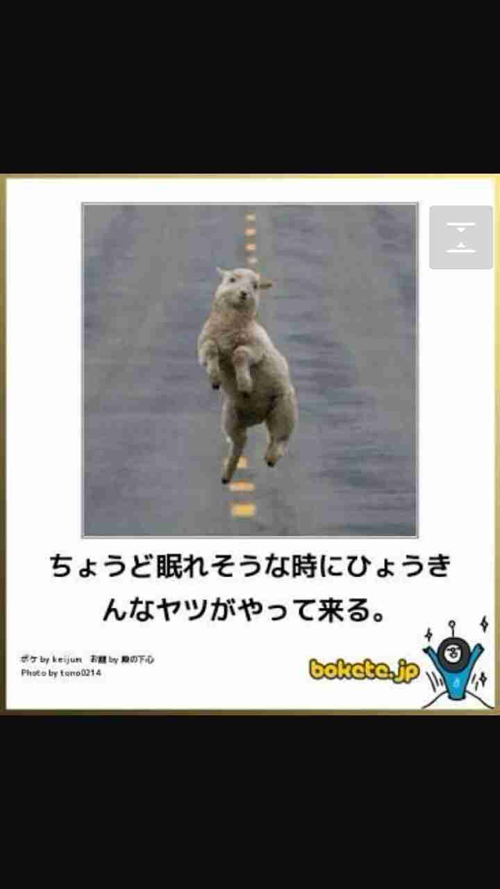 寝る前にどうかもう一笑いしたい