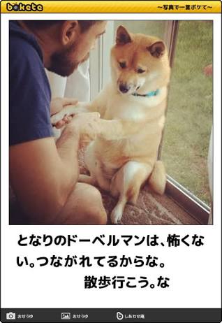 寝る前にどうかもう一笑いしたい