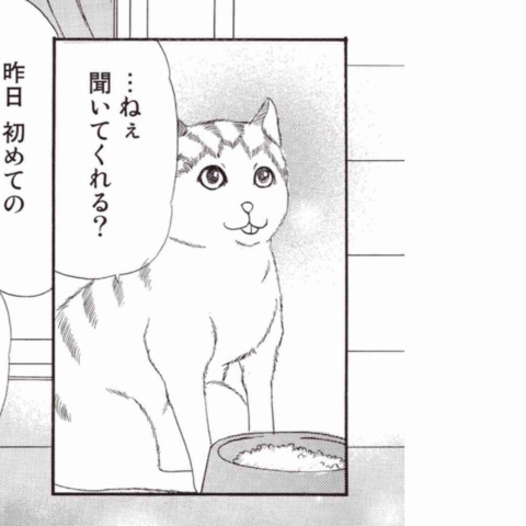 寝る前にどうかもう一笑いしたい
