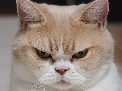 「早生まれの子は損だらけ」母親の相談に非難殺到 「子供を損得で語る親がいるなんて。かわいそう」