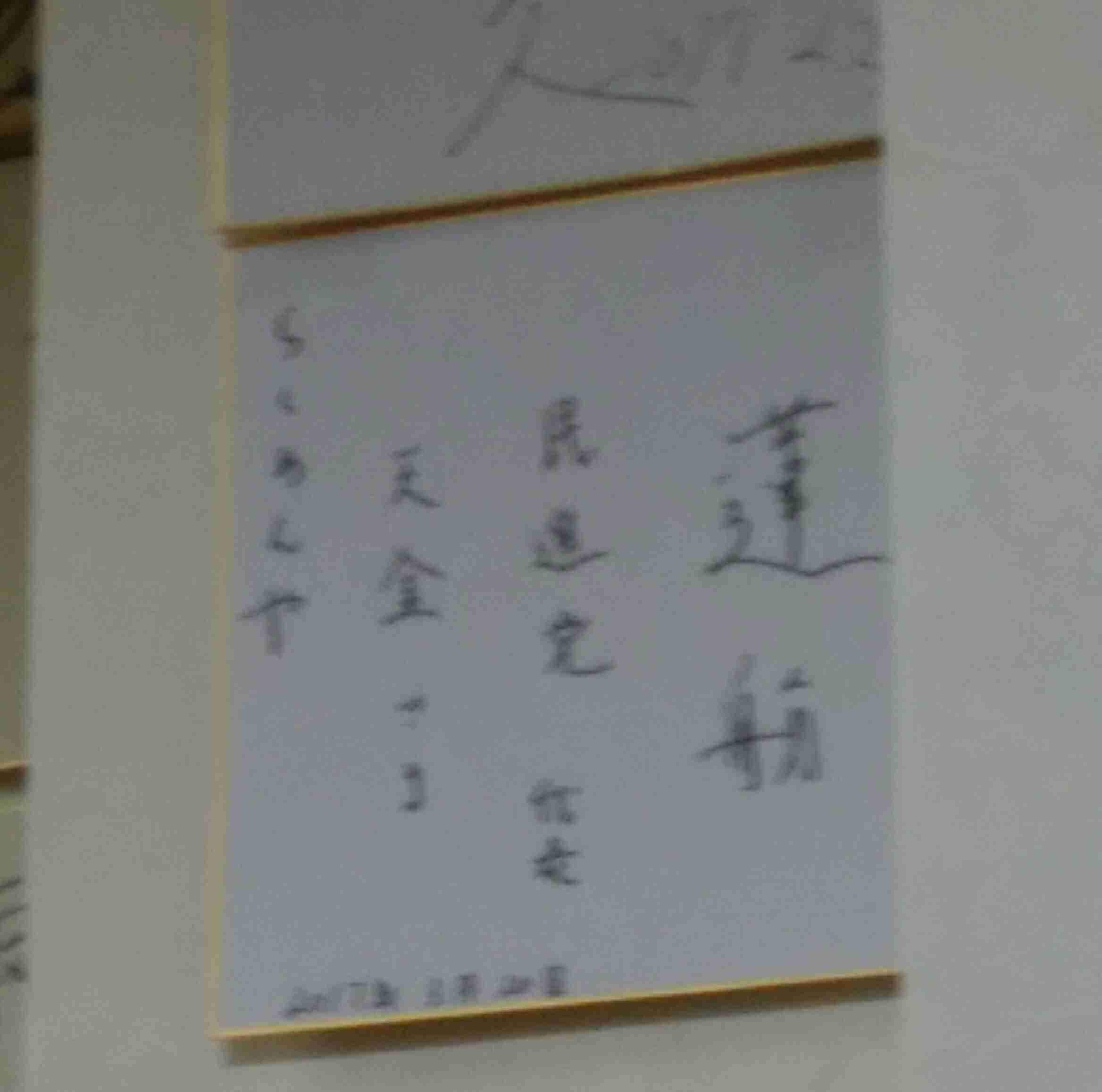 【蓮舫氏「二重国籍」会見】資料公開遅れは「子供が未成年だったから」と説明