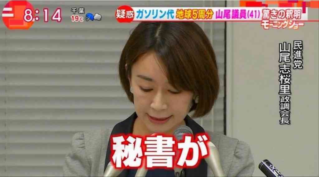 【蓮舫氏「二重国籍」会見】資料公開遅れは「子供が未成年だったから」と説明