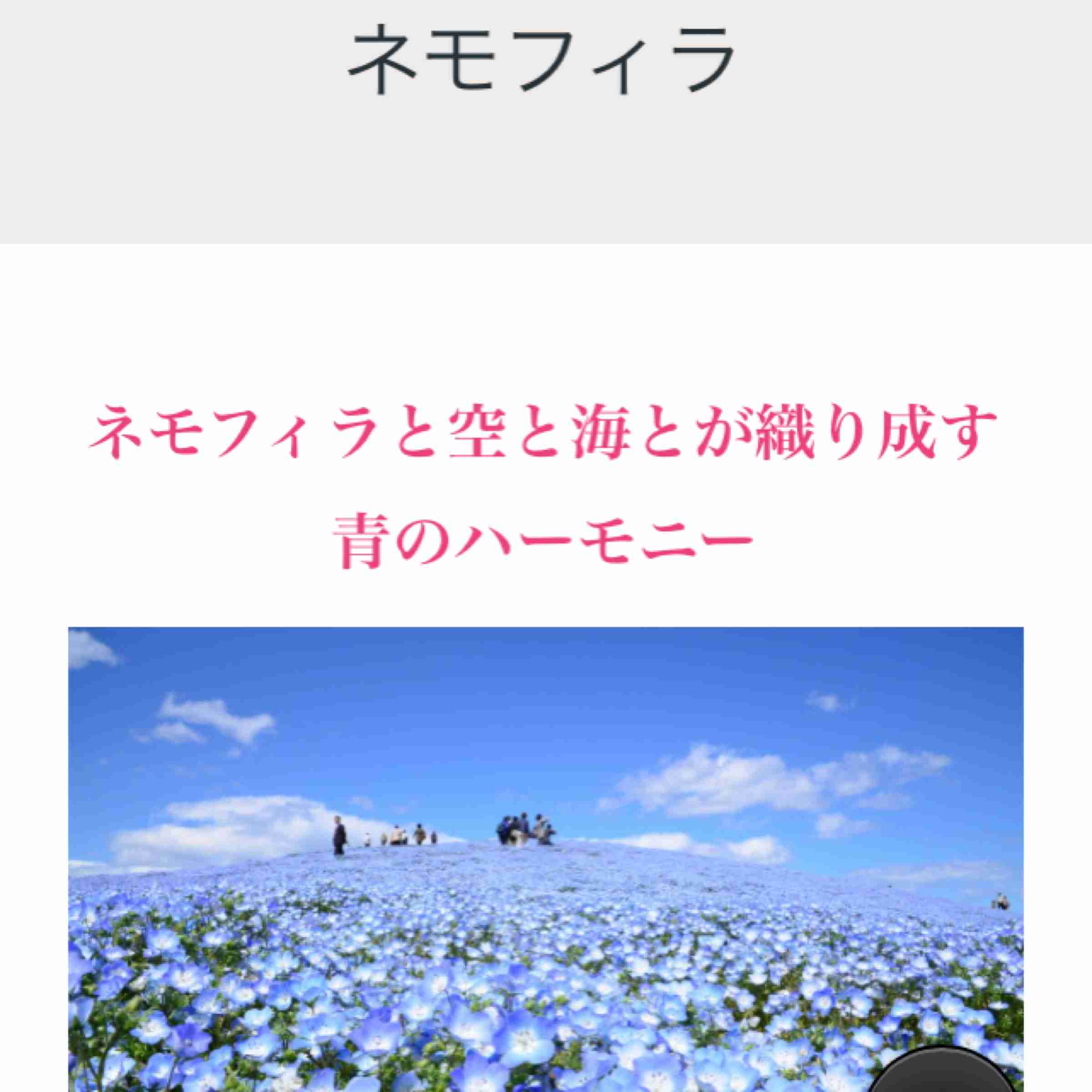 エロくないのにエロく聞こえる言葉