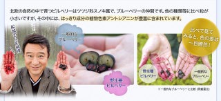 「眼球体操やブルーベリーが目にいい」はウソ!?目のジョーシキがくつがえる!