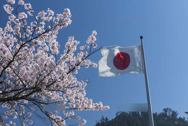 最近、政治に興味持ち始めた人