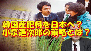 【2017】都議選を語る
