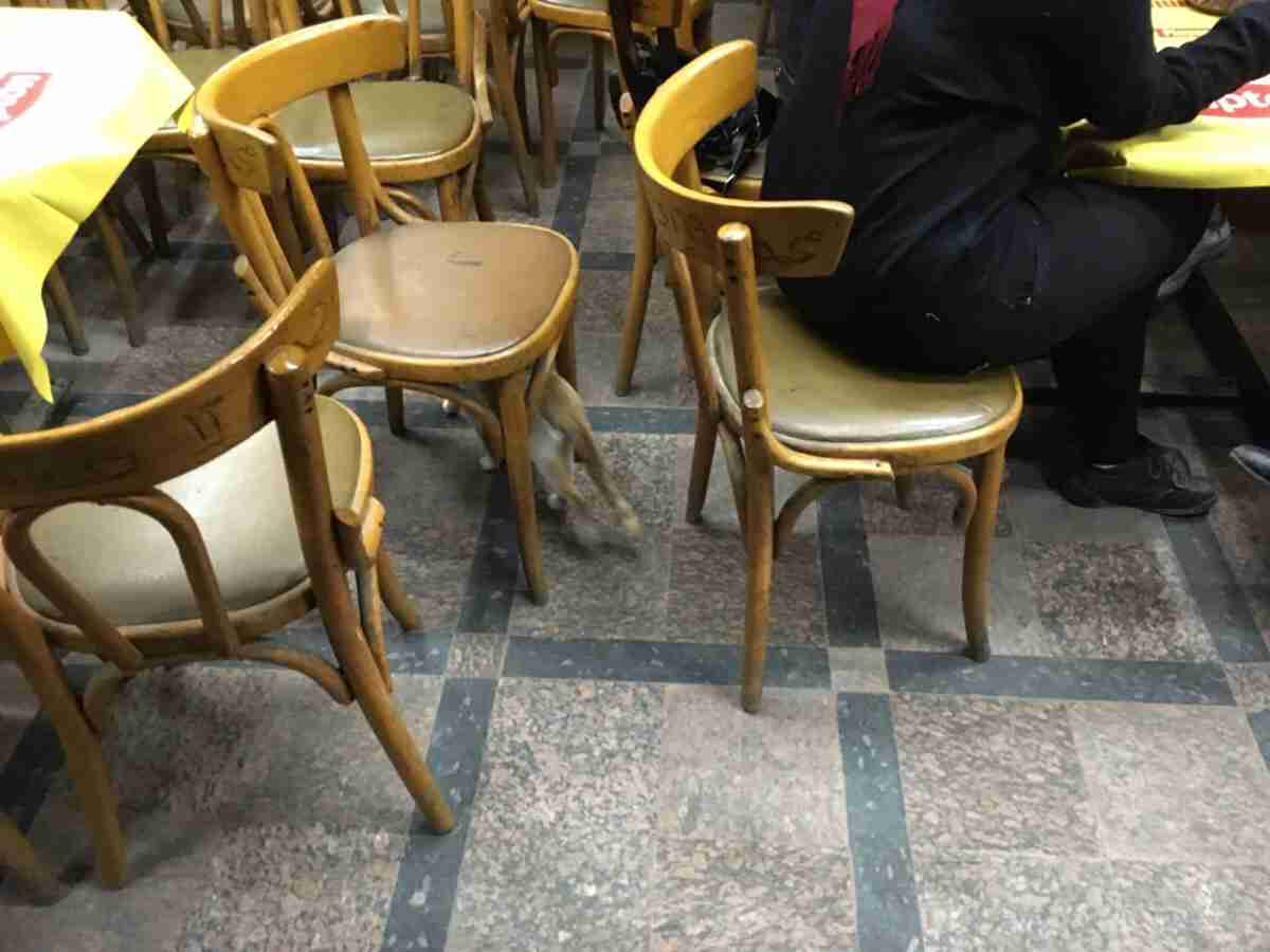 いろいろなカフェ、喫茶店の画像が見たい